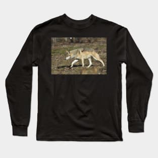 Mexican Grey Wolf Long Sleeve T-Shirt